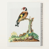 Personalisierter Vintage-Botanischer-Vogel-Akademi Planer (Rückseite)