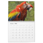 Personalisierter Vogelkalender Kalender (Jan 2026)