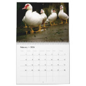Personalisierter Vogelkalender Kalender (Feb 2026)