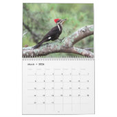 Personalisierter Vogelkalender Kalender (Mär 2026)