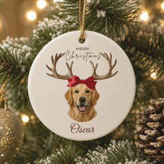 Personalisierter Weihnachts-Haustier-Foto-Namen-Sc Keramik Ornament