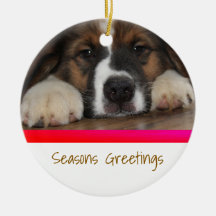 Personalisierter Weihnachts-Schmuck für Haustiere