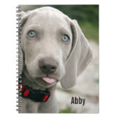 Personalisierter Weimaraner HundeFoto-und Notizblock (Vorderseite)