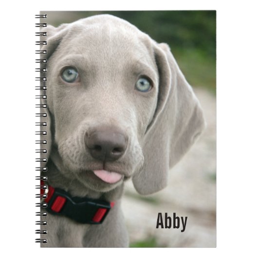Personalisierter Weimaraner HundeFoto-und Notizblock (Vorderseite)