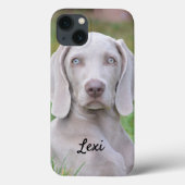Personalisierter Weimaraner Welpenhund Case-Mate iPhone Hülle (Rückseite)
