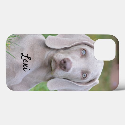 Personalisierter Weimaraner Welpenhund Case-Mate iPhone Hülle (Rückseite (Horizontal))