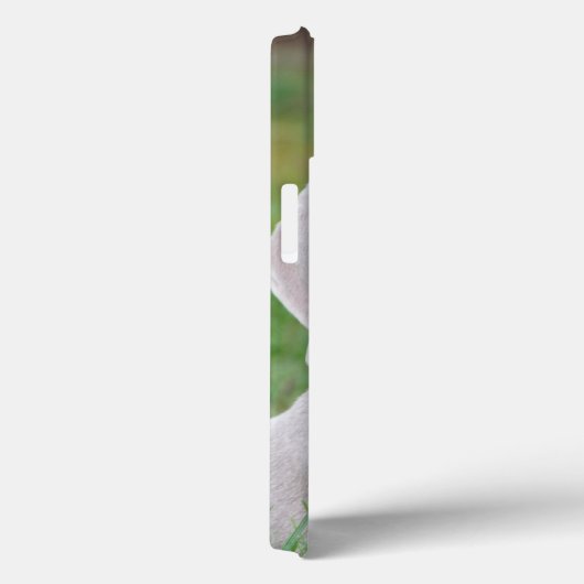 Personalisierter Weimaraner Welpenhund Case-Mate iPhone Hülle (Rückseite / Rechts)