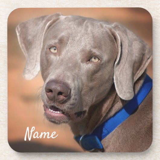 Personalisierter Weimaraner Welpenhund Getränkeuntersetzer (Vorderseite)