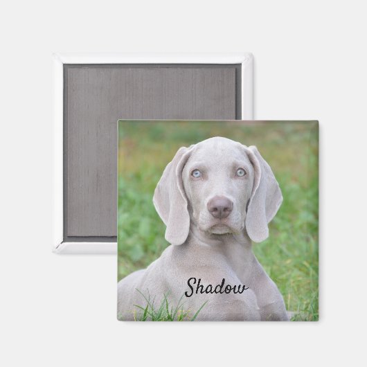 Personalisierter Weimaraner Welpenhund Magnet (Vorderseite/Rückseite)