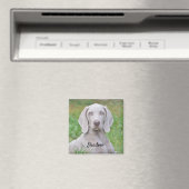 Personalisierter Weimaraner Welpenhund Magnet (In Situ (Geschirrspüler))