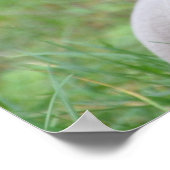 Personalisierter Weimaraner Welpenhund Poster (Ecke)