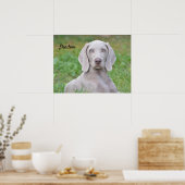 Personalisierter Weimaraner Welpenhund Poster (Küche)