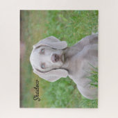 Personalisierter Weimaraner Welpenhund Puzzle (Vertikal)