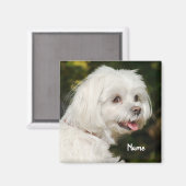 Personalisierter weißer maltesischer Welpenhund Magnet (Vorderseite/Rückseite)