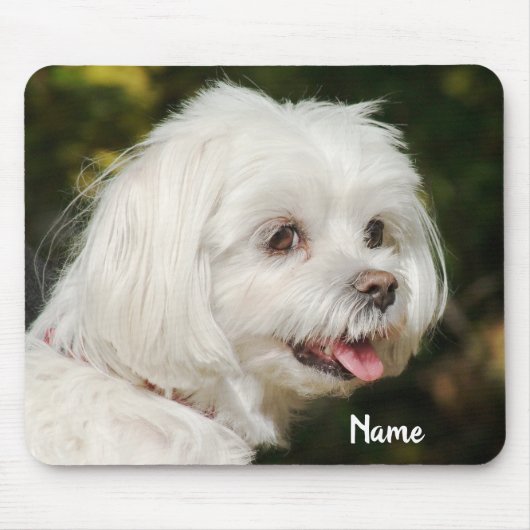 Personalisierter weißer maltesischer Welpenhund Mousepad (Vorne)