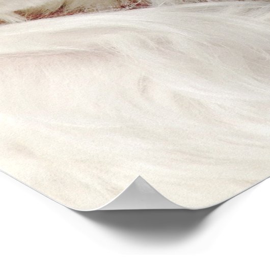 Personalisierter weißer maltesischer Welpenhund Poster (Ecke)