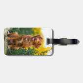 Personalisiertes 2 Foto Benutzerdefiniert Erstelle Gepäckanhänger (Rückseite horizontal)