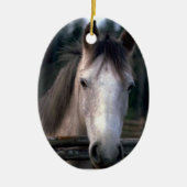 Personalisiertes 4PetRescue Keramikornament (Vorne)
