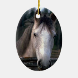 Personalisiertes 4PetRescue Keramikornament