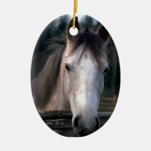 Personalisiertes 4PetRescue Keramikornament (Vorne)