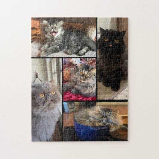 Personalisiertes 5-Foto-Puzzle Perserkatze Puzzle (Vertikal)