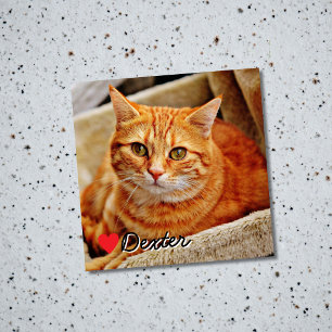 Personalisiertes Andenken an Haustiere mit Foto vo Magnet
