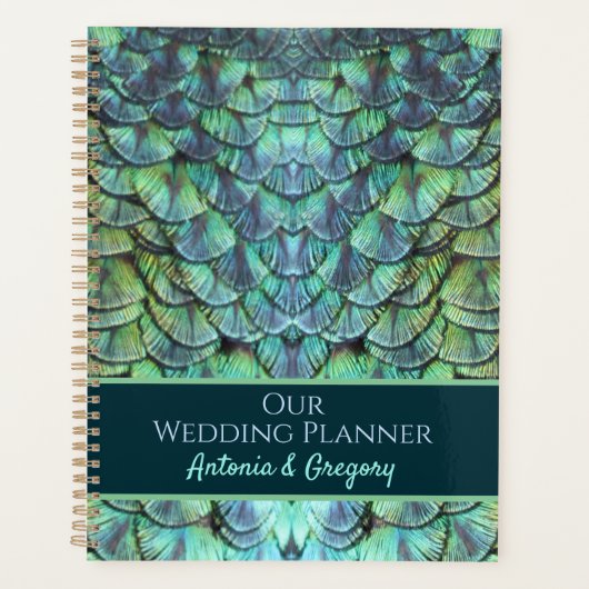 Personalisiertes Aqua Vibranding Peacock Feathers Planer (Vorderseite)