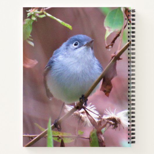 Personalisiertes Backyard-Bird-Notebook Notizblock (Rückseite)