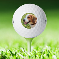 Personalisiertes Beagle-Hundefoto und Hundename