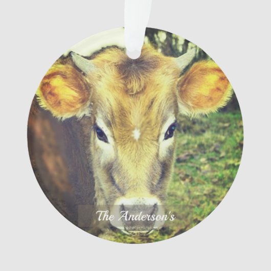 Personalisiertes benutzerdefiniertes Foto Ornament (Vorderseite)