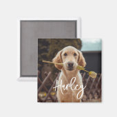 Personalisiertes benutzerdefiniertes Foto und Text Magnet (Vorderseite/Rückseite)