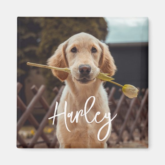 Personalisiertes benutzerdefiniertes Foto und Text Magnet (Vorne)