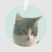 Personalisiertes benutzerdefiniertes Tabby Cat-Fot Ornament (Vorderseite)