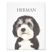 Personalisiertes Bernedoodle-Portrait Fotodruck (Vorne)