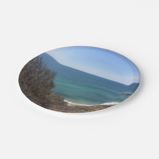 Personalisiertes Bild eines benutzerdefinierten Fo Pappteller (Schrägansicht)