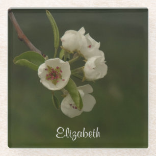 Personalisiertes Birnenblüten-Foto Glasuntersetzer