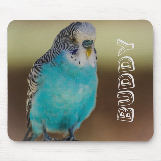 Personalisiertes blaues Budgie Mousepad (Vorne)