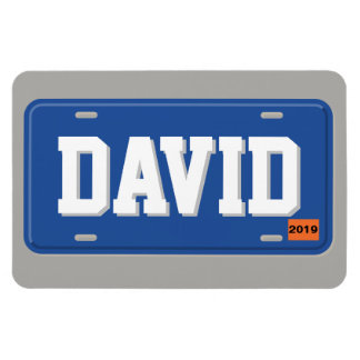Personalisiertes blaues und weißes Lizenzschild Magnet