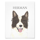 Personalisiertes Border Collie Portrait Fotodruck (Vorne)