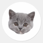 Personalisiertes Cat-Face-Foto für benutzerdefinie Runder Aufkleber (Vorderseite)