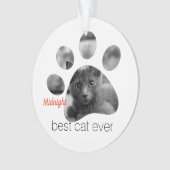 Personalisiertes Cat-Foto Ornament (Vorderseite)