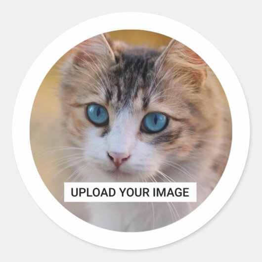 Personalisiertes Cat-Foto Runder Aufkleber (Vorderseite)