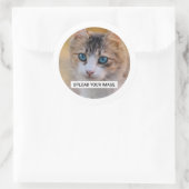 Personalisiertes Cat-Foto Runder Aufkleber (Tasche)