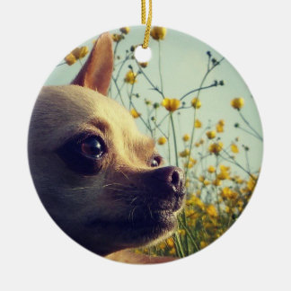 Personalisiertes Chihuahuadoppeltes versah mit Keramik Ornament