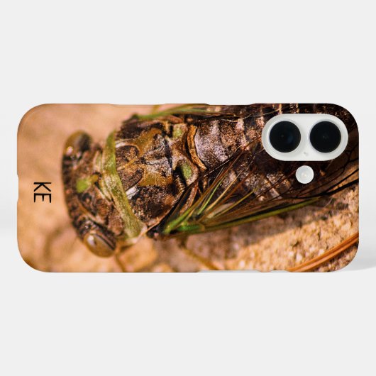 Personalisiertes Cicada Insect Apple iPhone Case (Rückseite (Horizontal))