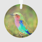Personalisiertes Custom Multicolor Bird-Foto Ornament (Rückseite)