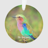 Personalisiertes Custom Multicolor Bird-Foto Ornament (Vorderseite)