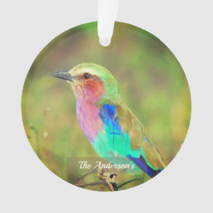 Personalisiertes Custom Multicolor Bird-Foto Ornament