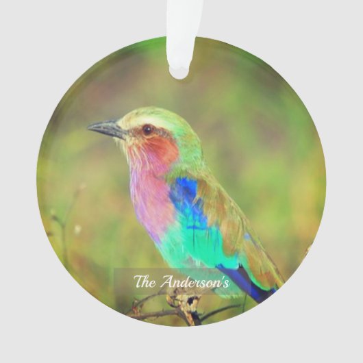 Personalisiertes Custom Multicolor Bird-Foto Ornament (Vorderseite)