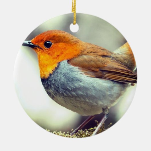 Personalisiertes Custom Robin Bird-Foto Keramik Ornament (Hinten)